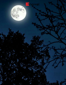 Moonlight (Ánh Trăng)