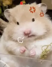 Hamster Báo Thù