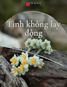 Tình Không Lay Động