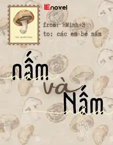 Nấm Và Nấm